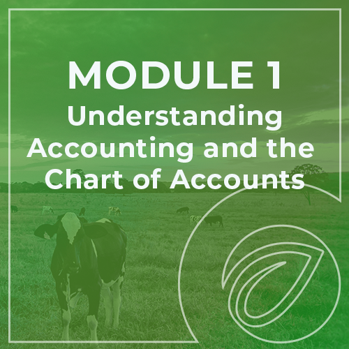 Xero - Module 1