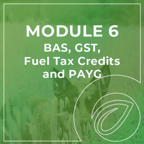 Xero - Module 6