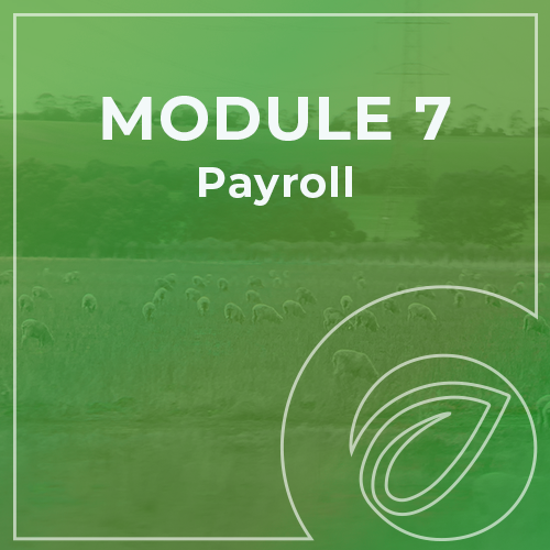 Xero - Module 7